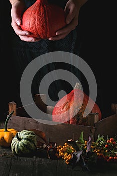 Assortment of different pumpkins and berries