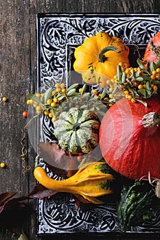 Assortment of different pumpkins and berries