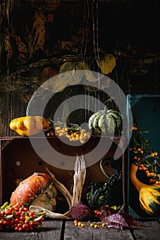 Assortment of different pumpkins and berries