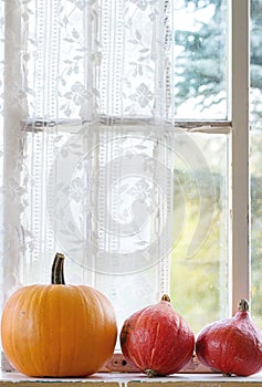 Assortment of different pumpkins on window sill