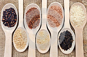 Assortment of different rice in wooden spoons: white rice red rice black rice a mixture of wild and brown rice. The whole grain of