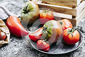 Assortment of different varieties of fresh tomatoes from the vegetable garden