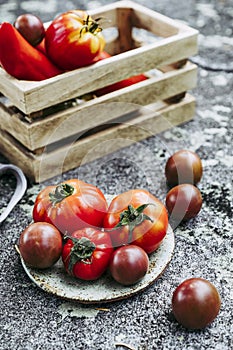 Assortment of different varieties of fresh tomatoes from the vegetable garden