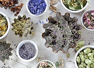 Assortment of dried herbs: blossom, root and seed, flat on the table, lavender, chamomile