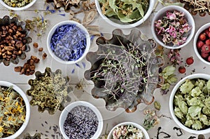 Assortment of dried herbs: blossom, root and seed, flat on the table, lavender, chamomile, lime, rose