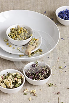 Assortment of dry herbs: chamomile, apple tree flowers, cornflower, lavender, thyme on rustic linen texture