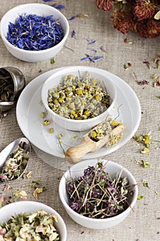 Assortment of dry herbs: chamomile, apple tree flowers, cornflower, lavender, thyme on rustic linen texture