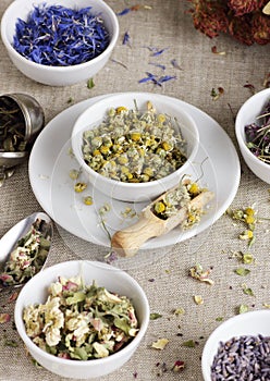 Assortment of dry herbs: chamomile, apple tree flowers, cornflower, lavender, thyme on rustic linen texture