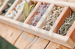 Assortment of dry medicinal herbs