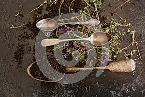 Assortment of dry tea in spoons, on darck background.