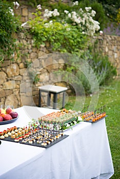 Assortment festive appetizers