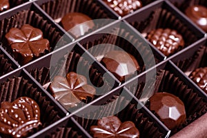 Assortment of fine chocolate candies, white, dark, and milk chocolate sweets background. Copy space