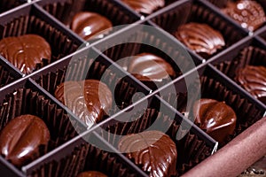 Assortment of fine chocolate candies, white, dark, and milk chocolate sweets background. Copy space