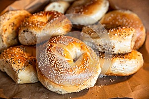 New York Style Bagels with seeds photo
