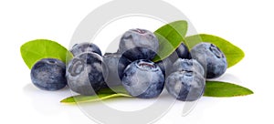 Assortment of fresh blueberries leaves isolated white