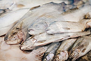 Assortment of fresh fish behind glass of display, seafood sale in fish supermarket. Soft focus. Healthy diet