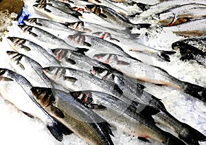 Assortment of fresh fish, Seabass