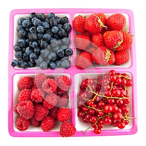 Assortment fresh fruit