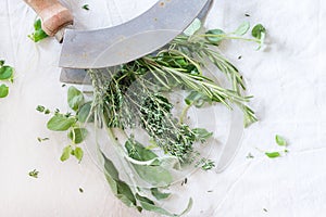 Assortment of fresh herbs