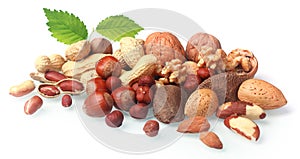 Assortment of fresh nuts