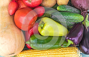 Assortment of fresh organic farm vegetables on a painted blue wooden backgroundt