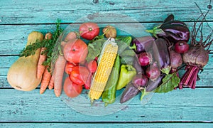 Assortment of fresh organic farm vegetables on a painted blue wooden backgroundt