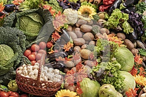 Assortment of fresh organic vegetables on farmers market. Top view. Live vitamins, rich harvest