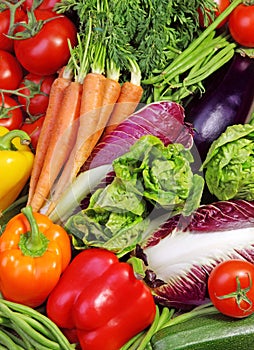 Assortment of fresh vegetables photo