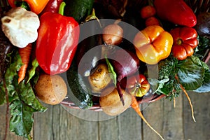 Assortment of fresh vegetables in a basket, bio healthy, organic food