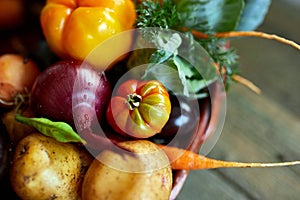 Assortment of fresh vegetables in a basket, bio healthy, organic food