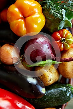 Assortment of fresh vegetables in a basket, bio healthy, organic food