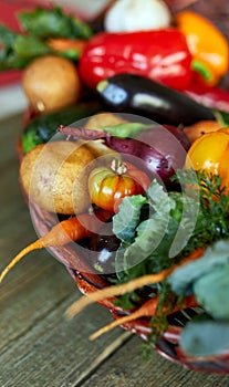 Assortment of fresh vegetables in a basket, bio healthy, organic food