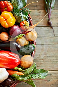 Assortment of fresh vegetables in a basket, bio healthy, organic food