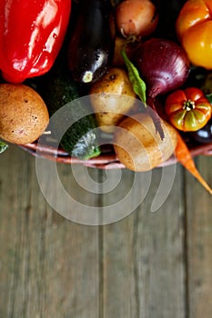 Assortment of fresh vegetables in a basket, bio healthy, organic food