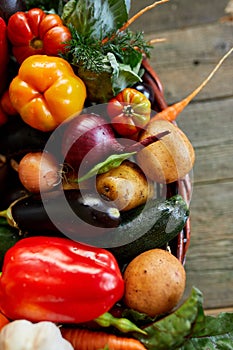 Assortment of fresh vegetables in a basket, bio healthy, organic food