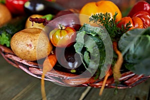 Assortment of fresh vegetables in a basket, bio healthy, organic food