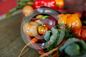 Assortment of fresh vegetables in a basket, bio healthy, organic food