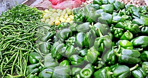 Assortment of fresh vegetables. Capsicum Shimla Mirchi, Lemon, Spicy Green Chilly, Coriander