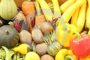 Assortment of fresh vegetables close up