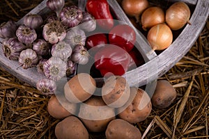 Assortment of fresh vegetables on hay with old wood wheel. Autumn harve