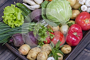 Assortment of fresh vegetables on wooden tray background