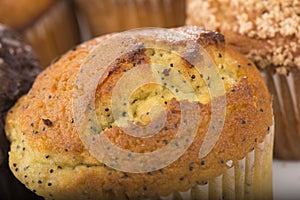 Assortment of freshly baked muffins with close up of a poppy seed muffin