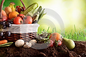 Assortment fruits and vegetables on soil and green background