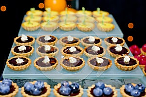 Assortment of fruity tarts