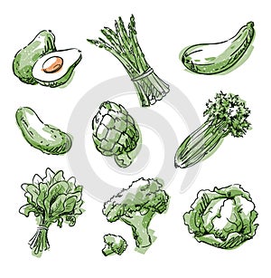 Assortment of green foods, fruit and vegtables, vector sketch