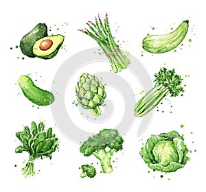 Assortment of green foods, watercolor vegtables illustration
