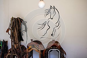 Assortment of horse riding equipment and accessories neatly arranged on a wall, ready for use