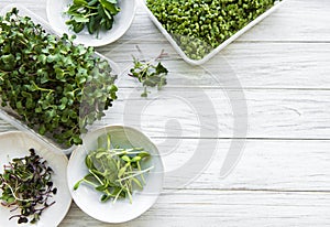 Assortment of micro greens