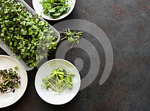 Assortment of micro greens at black background, copy space, top view