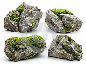 Assortment of nine unique mossy stones set against a white backdrop, highlighting their natural textures